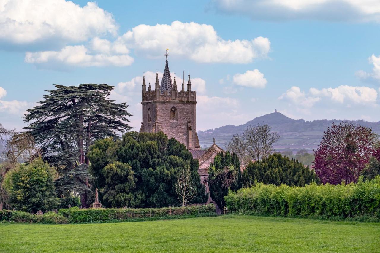 The Little Cottage - Peaceful, Dog Friendly Cottage In 5 Acres Glastonbury Esterno foto