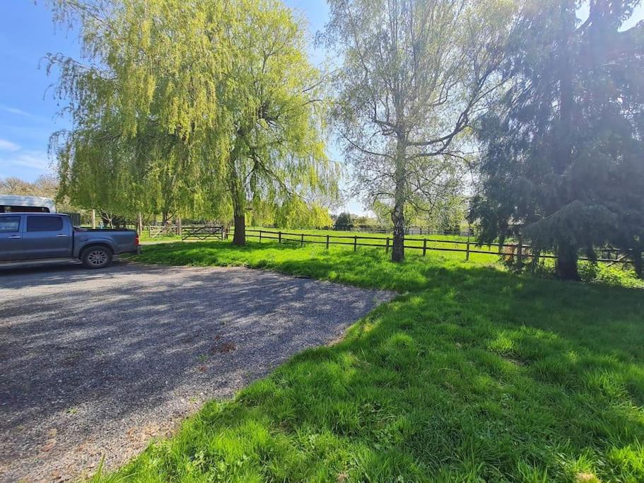 The Little Cottage - Peaceful, Dog Friendly Cottage In 5 Acres Glastonbury Esterno foto