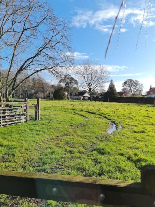 The Little Cottage - Peaceful, Dog Friendly Cottage In 5 Acres Glastonbury Esterno foto