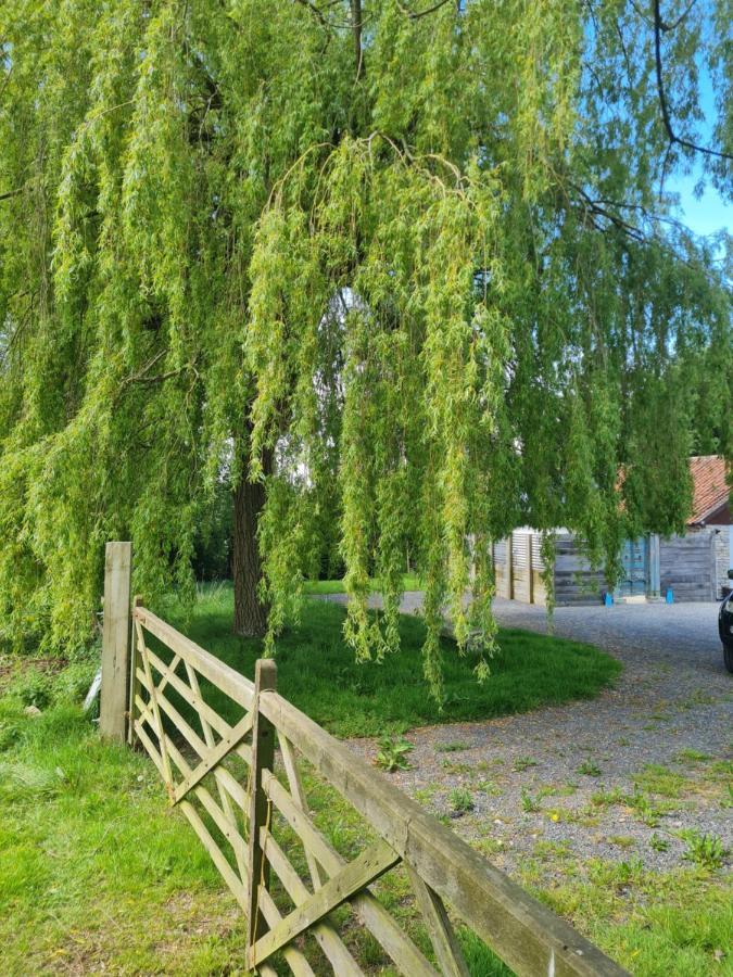 The Little Cottage - Peaceful, Dog Friendly Cottage In 5 Acres Glastonbury Esterno foto